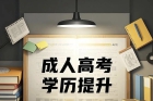 2027级成人高考项目表