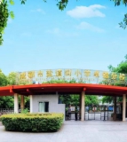 成都盐道街小学卓锦分校