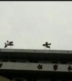 资阳市雁江区第七小学校