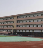 洋渡实验学校（河东新区·小学部）