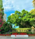 成都市七中育才学校（水井坊校区·本部）