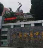 盐边县中学校