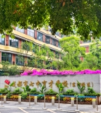成都市七中育才学校东湖校区