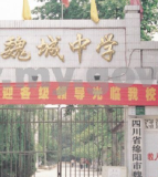 魏城中学
