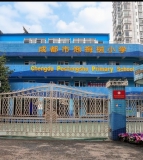 泡桐树小学