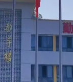 龙凤镇中心小学