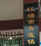 青莲镇中心小学校
