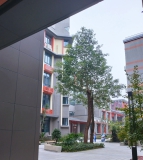 成都石室中学初中学校（培华校区）