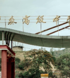 攀枝花市泊森高级中学